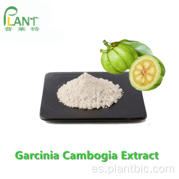 Pérdida de peso Garcinia cambogia extracto de fruta HCA en polvo